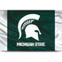 Michigan State University Away Grey Jersey Dell XPS Skin